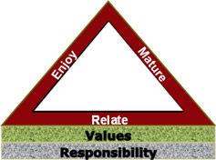 RME Holistic Framework (Basic)